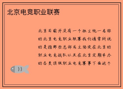 北京电竞职业联赛